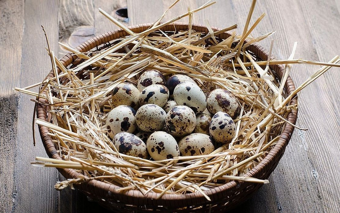 Huevos marrones recién llegados de la granja local, listos para desayuno